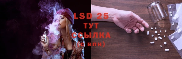 винт Каменка