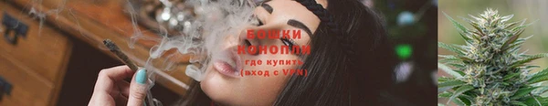 PSILOCYBIN Каменногорск