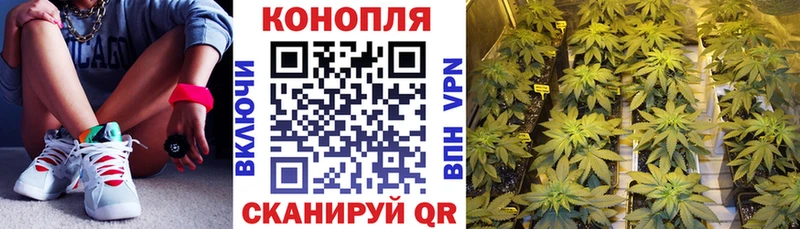 Шишки марихуана SATIVA & INDICA Купить Белая Калитва